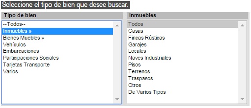 tipo de bien